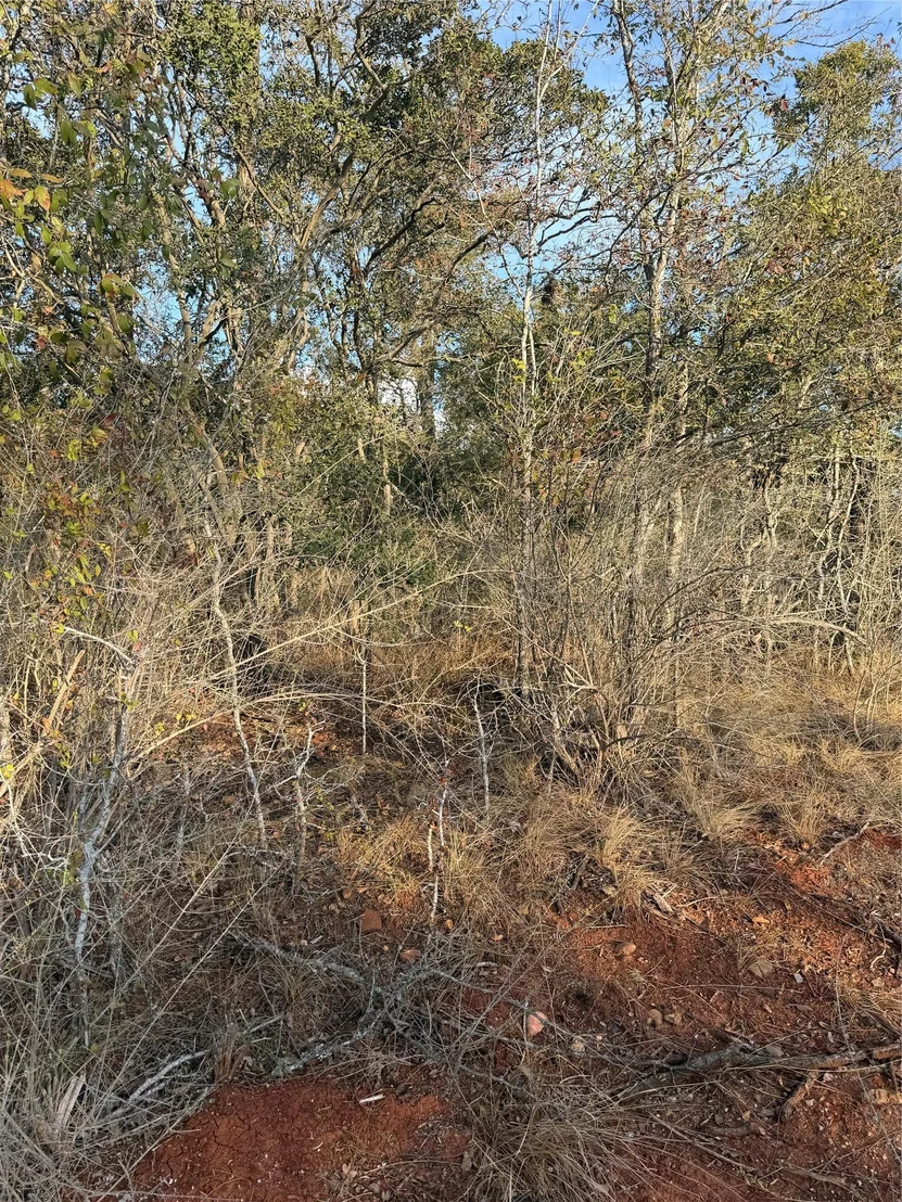 Photo of 156 Helemano DR
