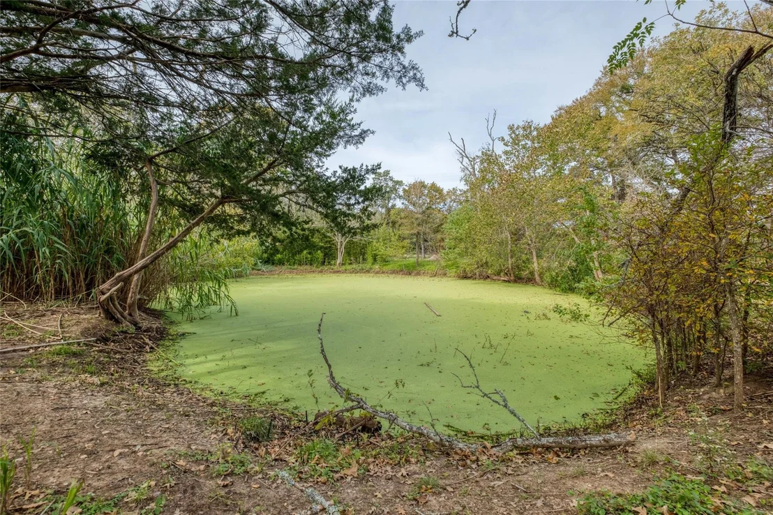 Photo of 201 Artesian DR