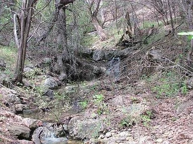 Photo of 350 Bluff RD