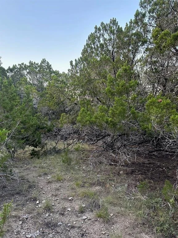 Photo of 21309 Mount View DR