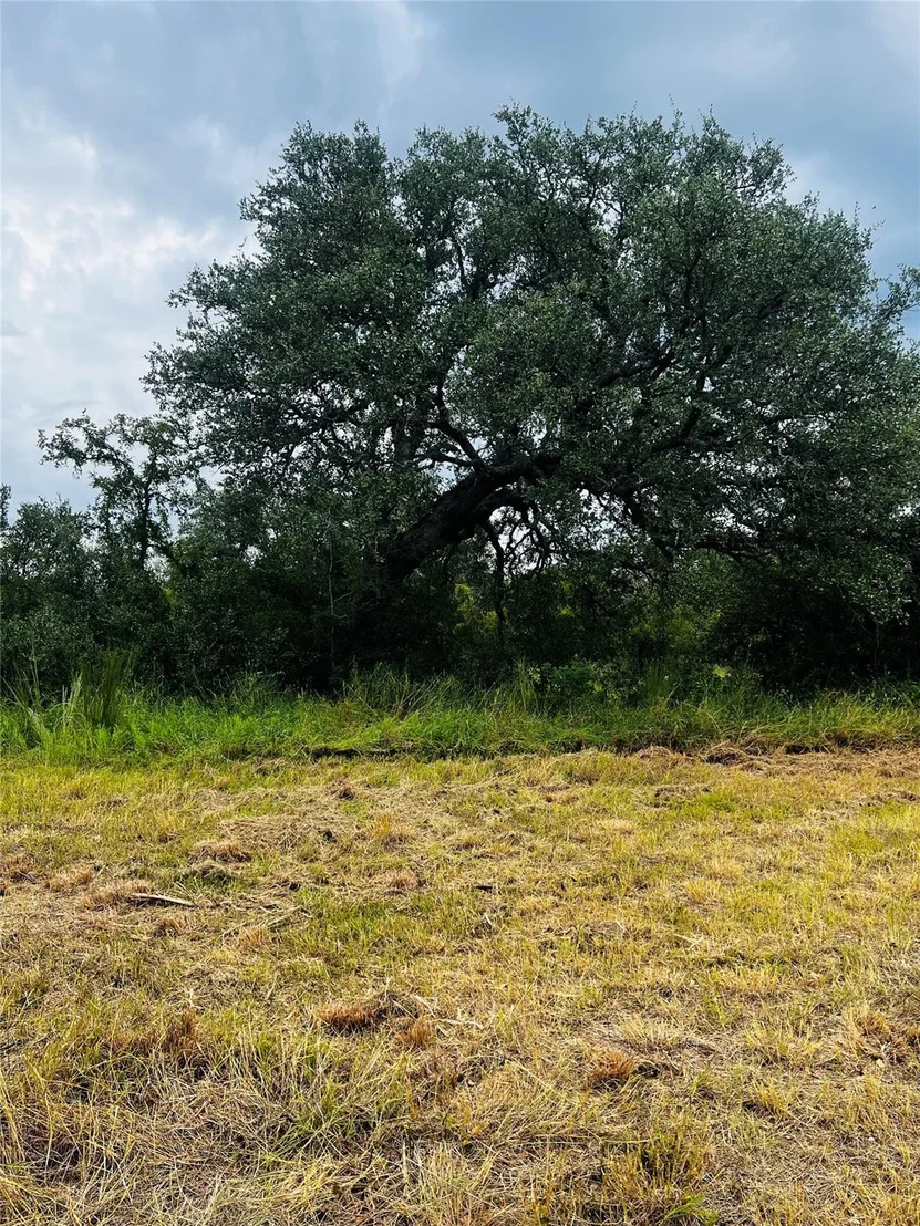 Photo of 241 Lehne LOOP