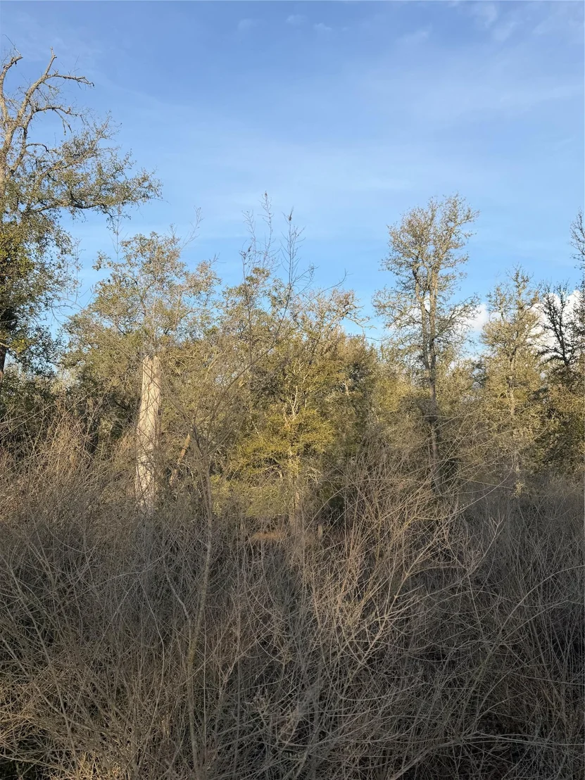 Photo of 156 Helemano DR