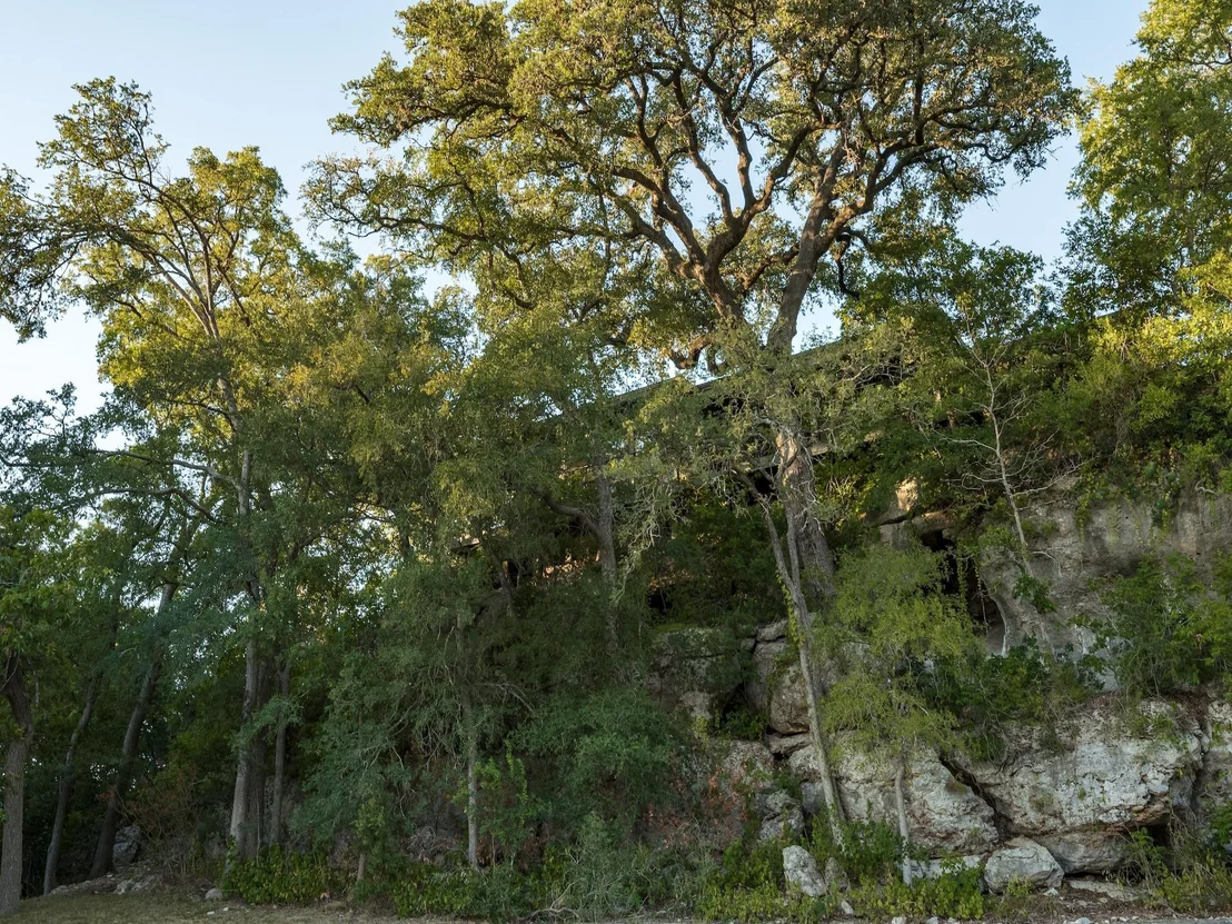 Photo of 275 Indian TRL