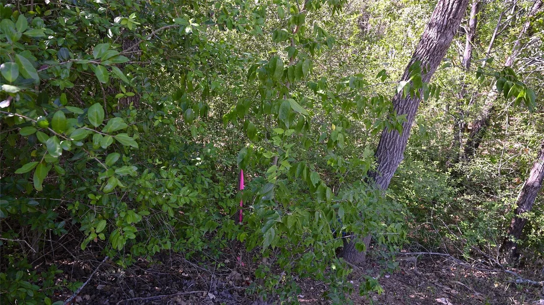 Photo of 110 Swift LN
