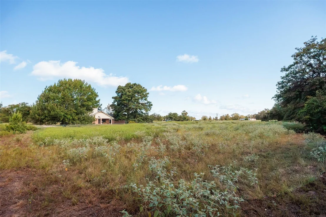 Photo of 161 County Road 441