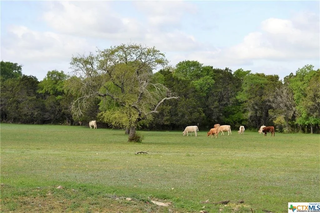 Photo of 1290 County Road 4765