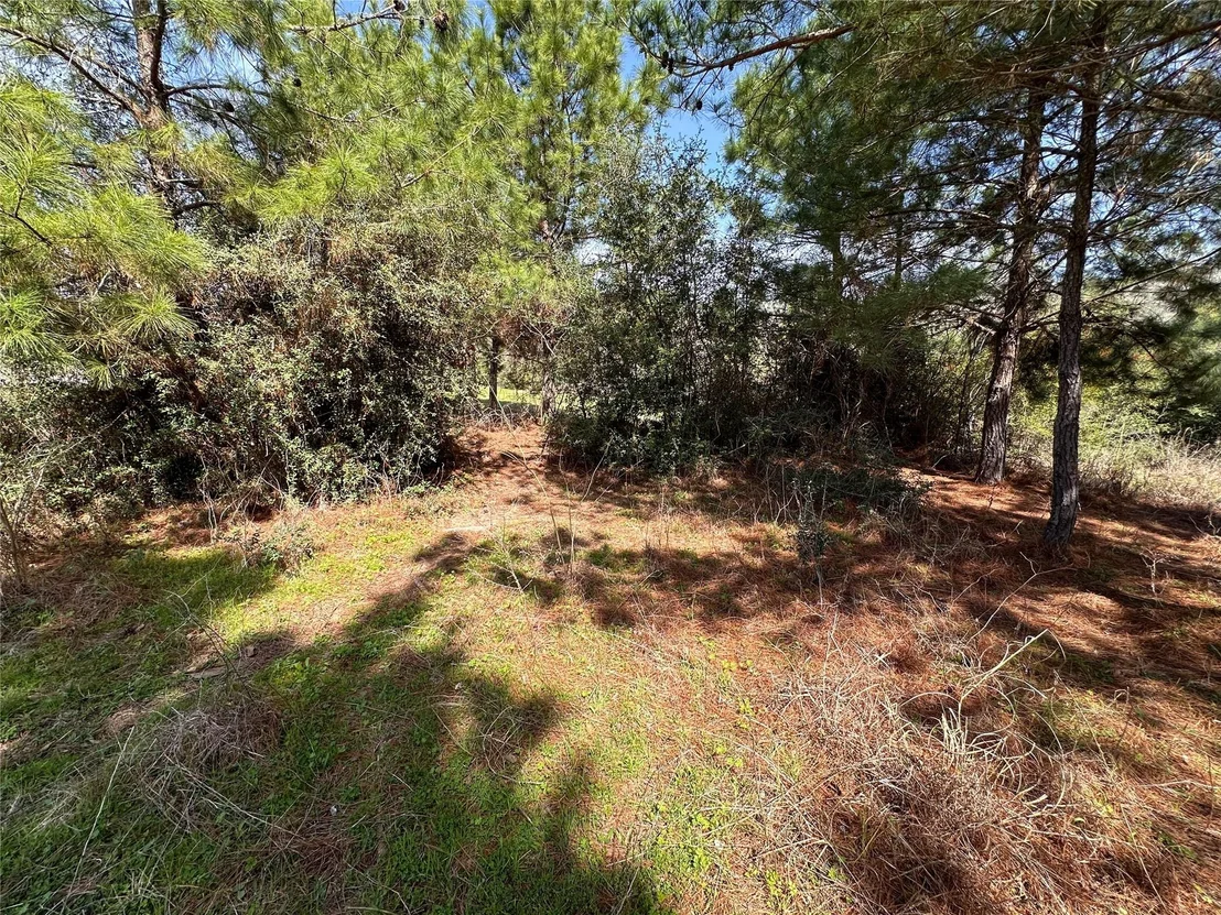 Photo of 161 Alele DR