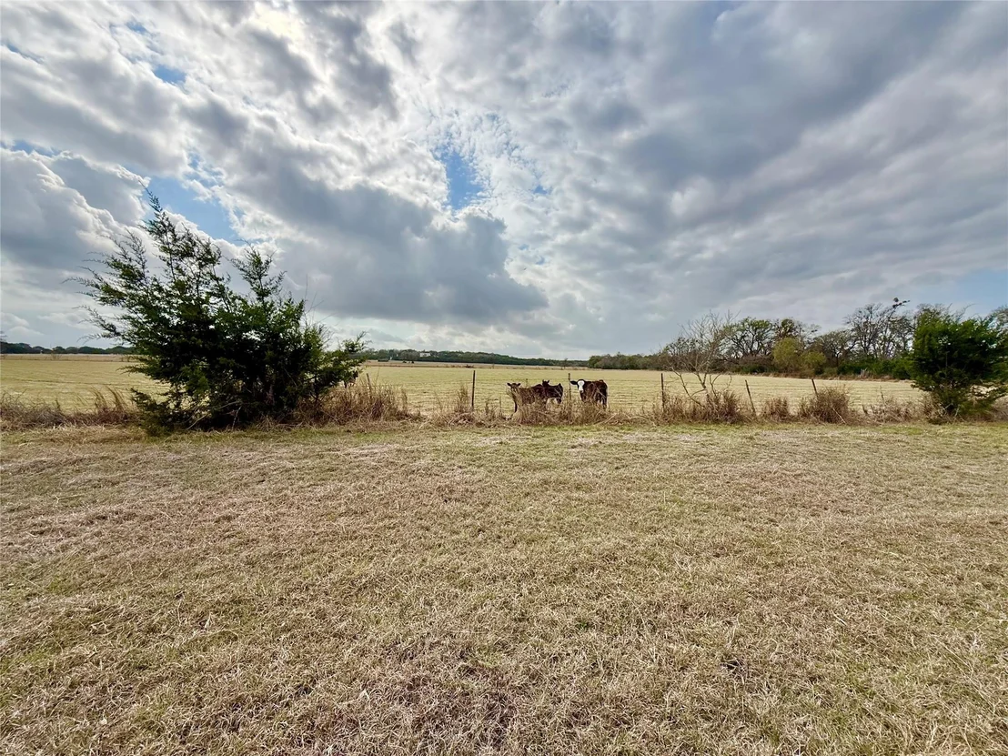 Photo of 2501 County Road 228