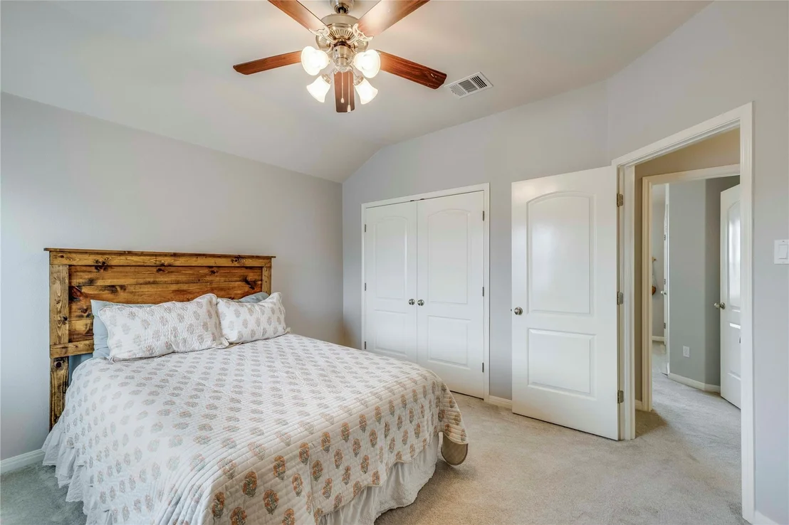 Photo of 1103 Snow Goose