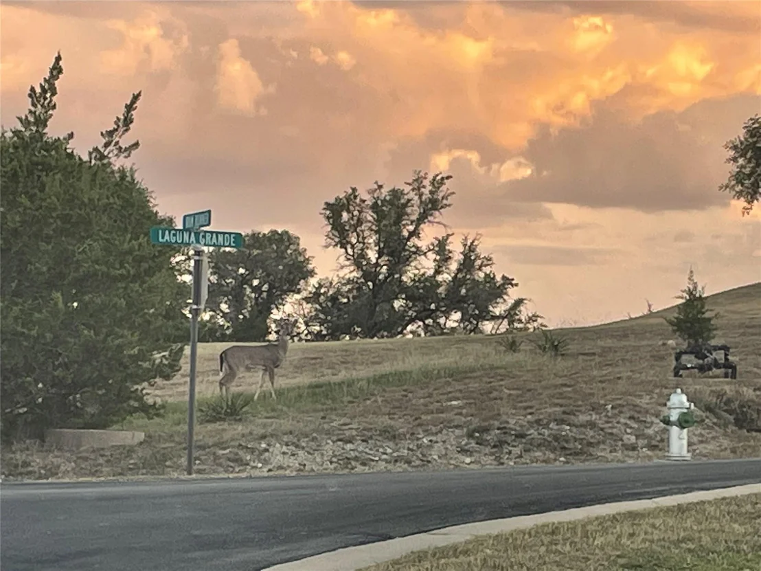 Photo of 4310 Laguna Grande