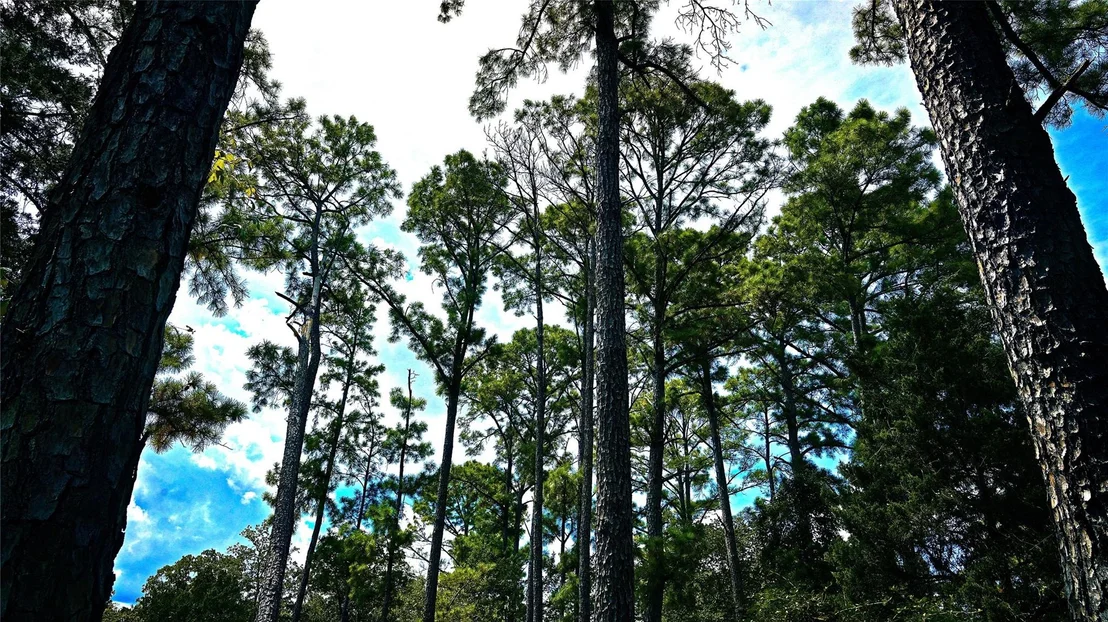 Photo of TBD Modock DR