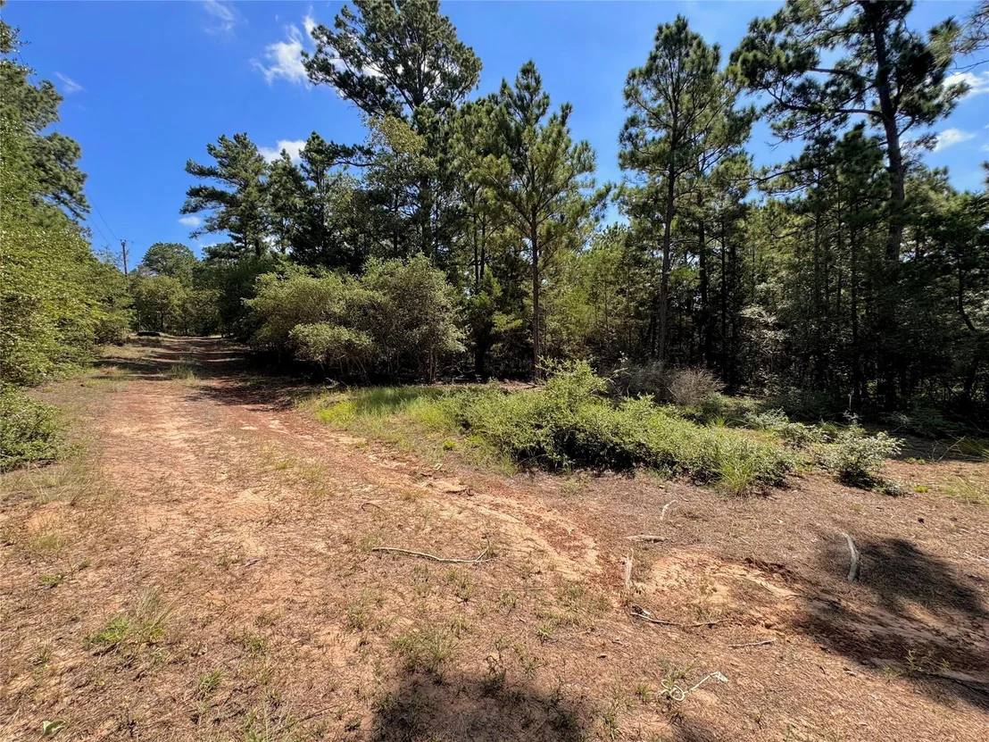 Photo of 445 Pine Valley LOOP