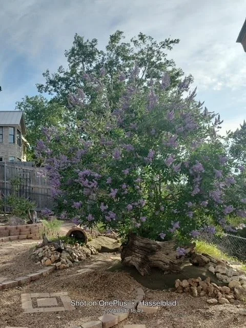 Photo of 131 High Gabriel DR