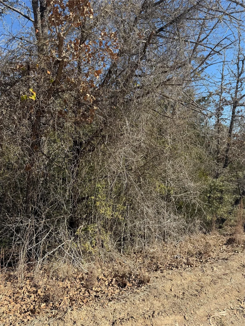 Photo of Lot 110 Wailupe CIR