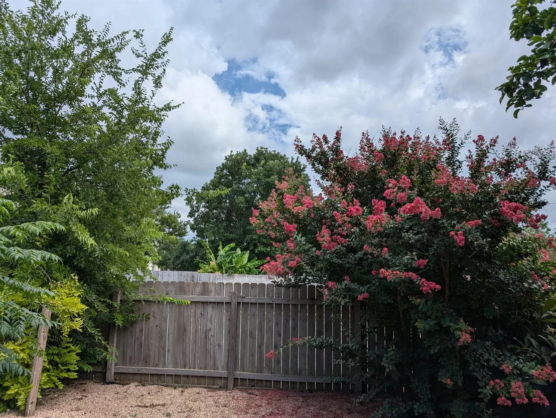 Photo of 2418 Elkhorn Ranch RD