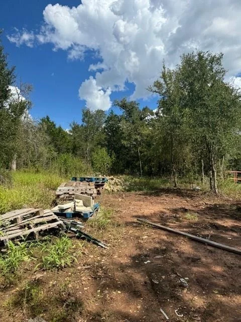 Photo of 261 Flaming Oak DR