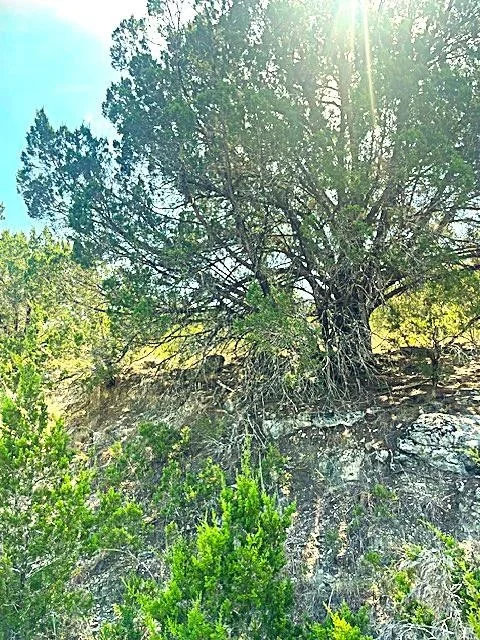 Photo of 20001 Calhoun Ave