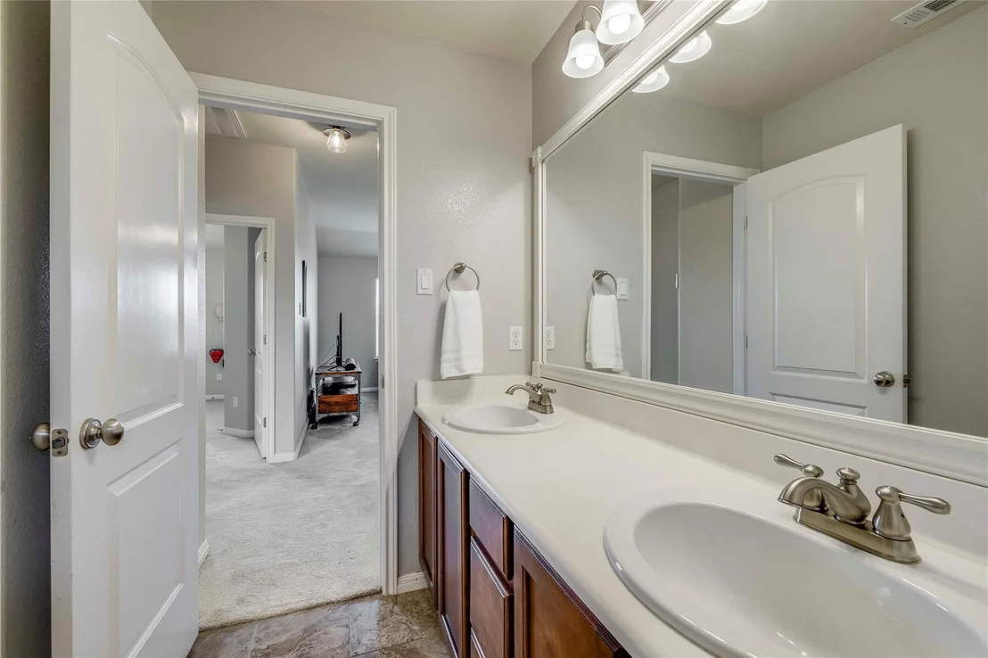 Photo of 1103 Snow Goose