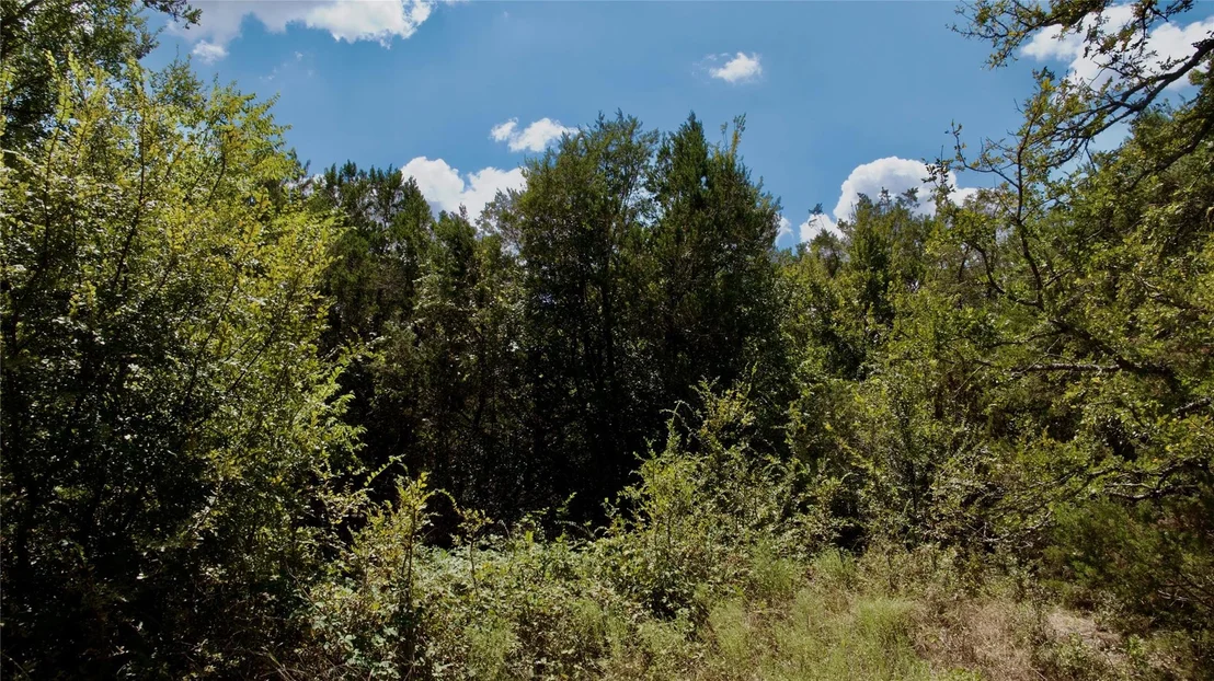 Photo of Lot 31 Donnie DR