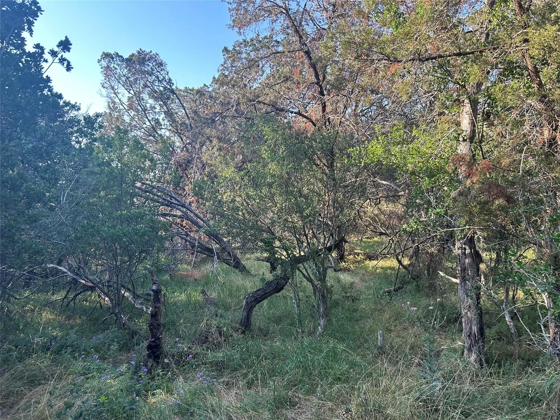 Photo of 20804 Hawthorne CV