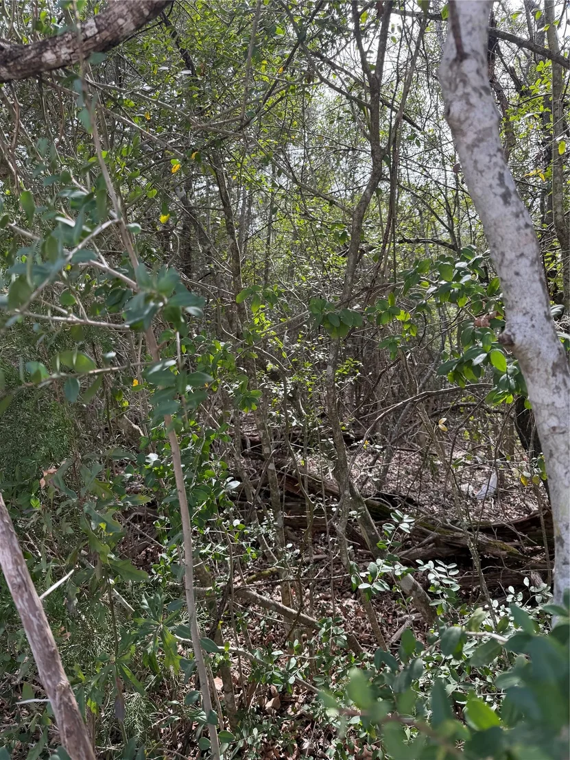 Photo of Lot 20 Flint Ridge ST