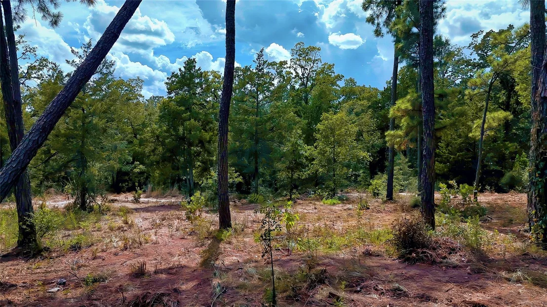 Photo of TBD Modock DR
