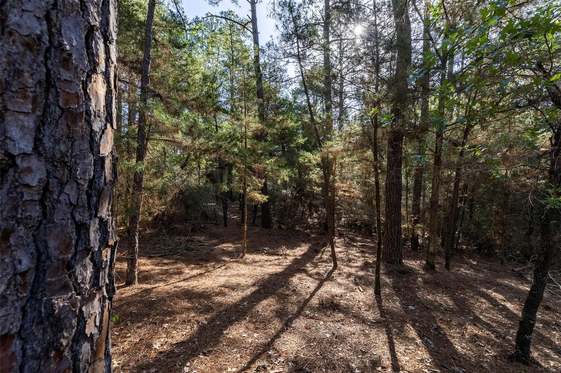 Photo of 133 Wainee DR