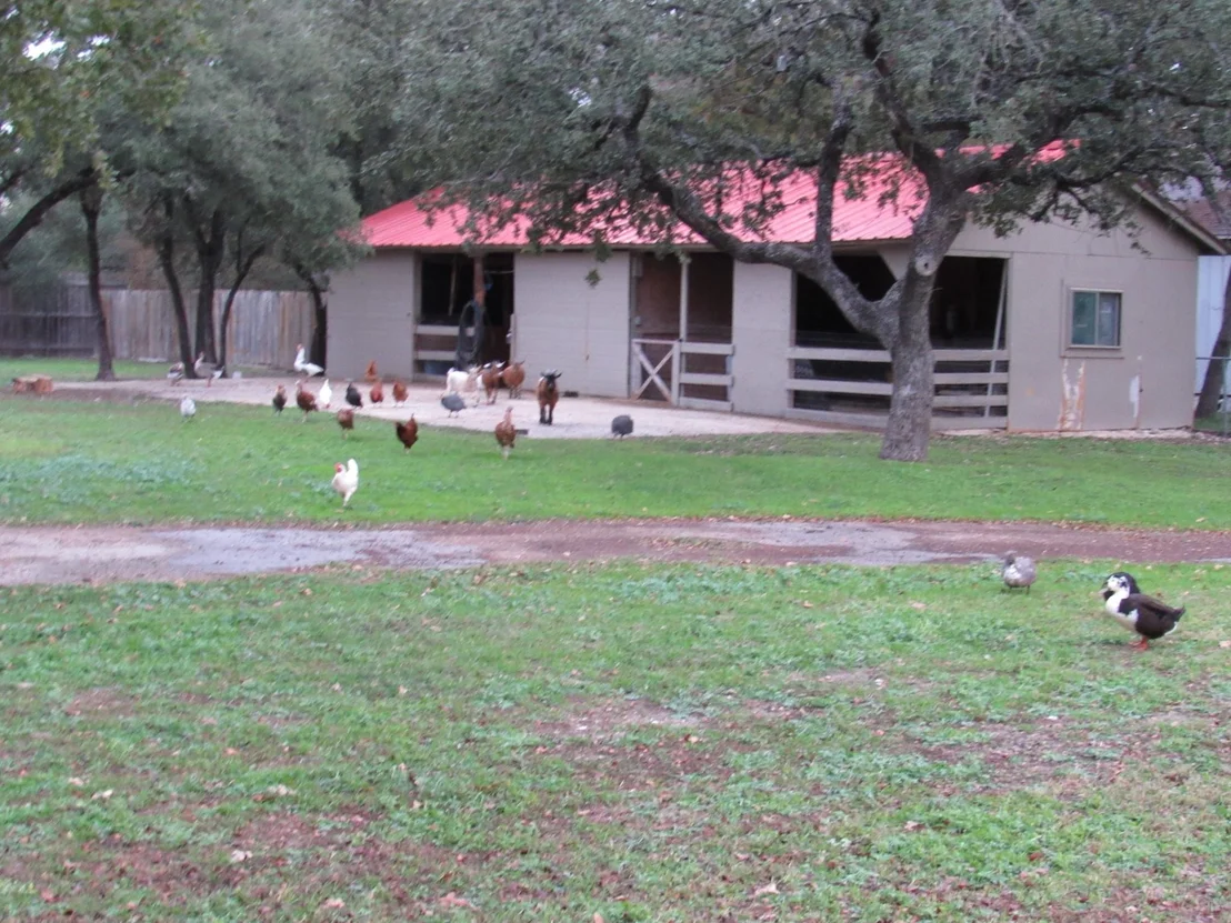 Photo of 339 439th LOOP