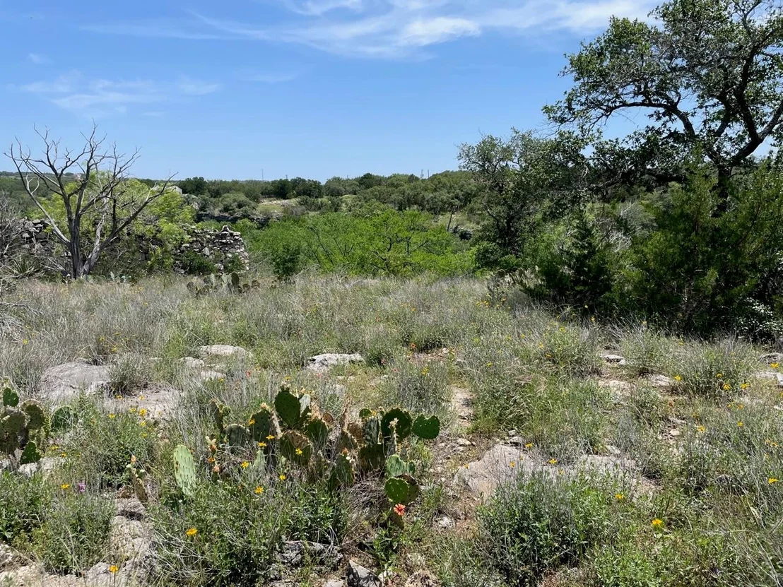 Photo of 4207 Three Creek TRL
