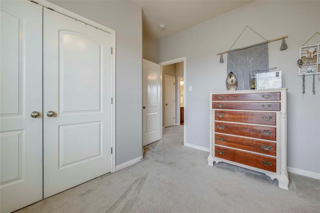 Photo of 1103 Snow Goose