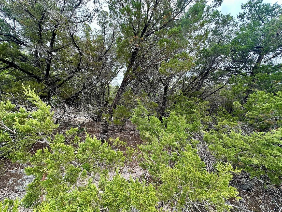 Photo of 20732 Camel Back ST