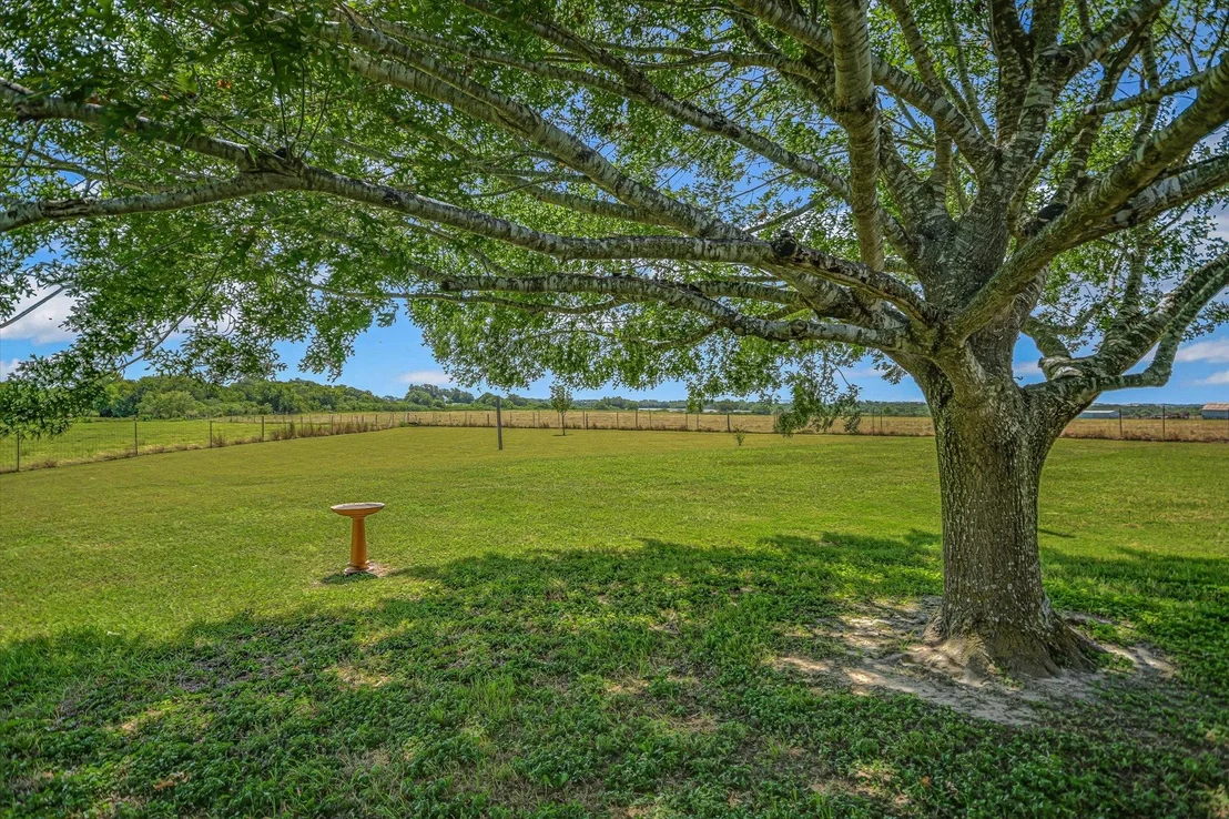 Photo of 1465 County Road 436