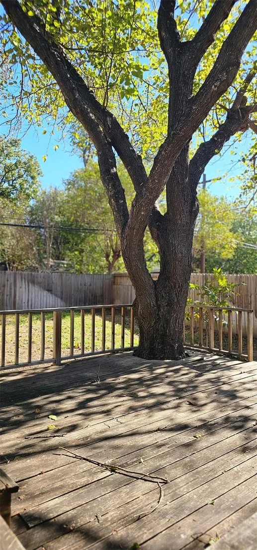 Photo of 1204 Barbara DR