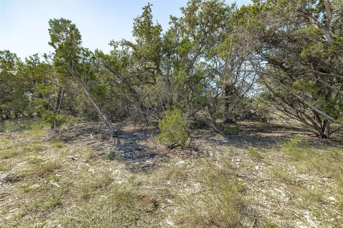 Photo of TBD County Road 281 Lot 1