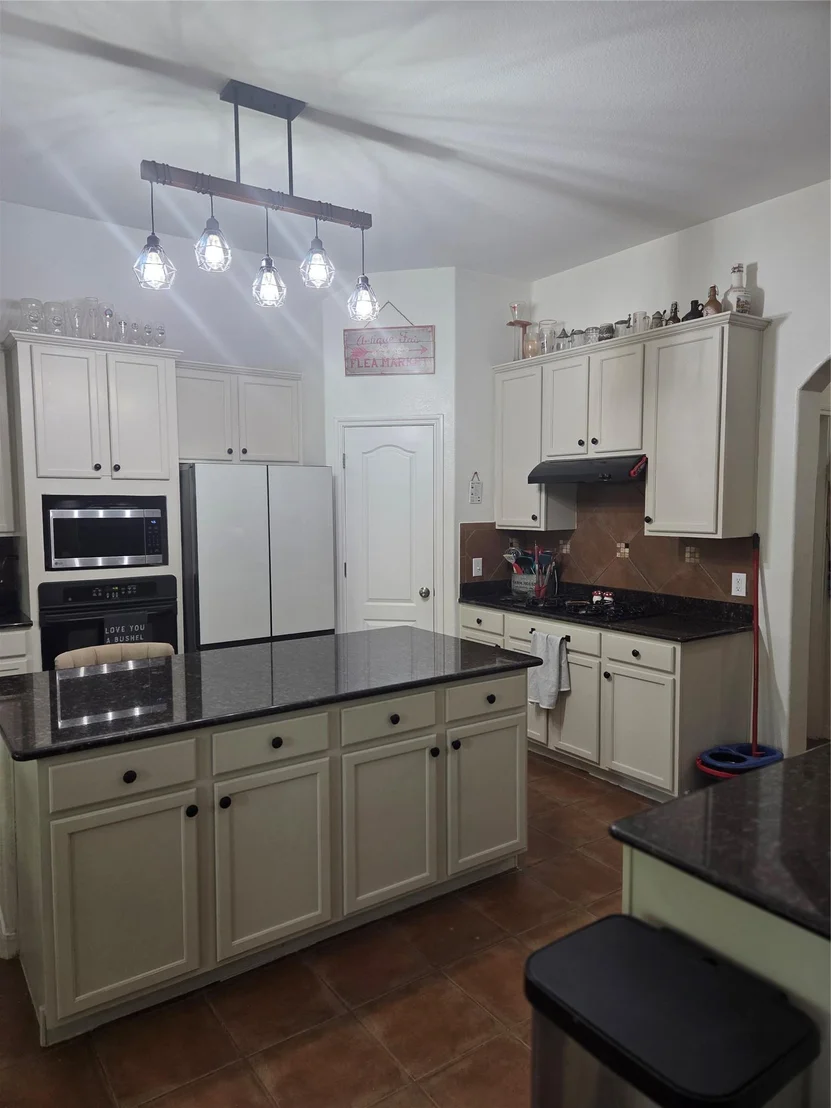 Photo of 2102 Spotted Owl CIR