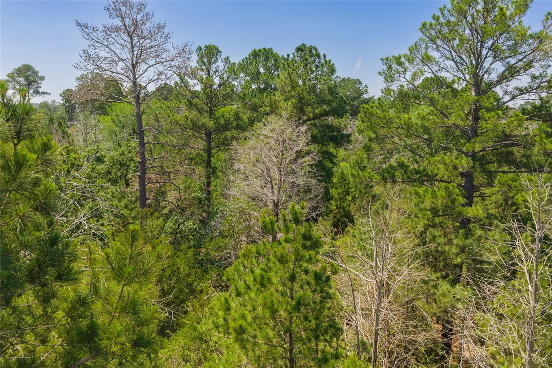 Photo of 224 Pine Valley DR