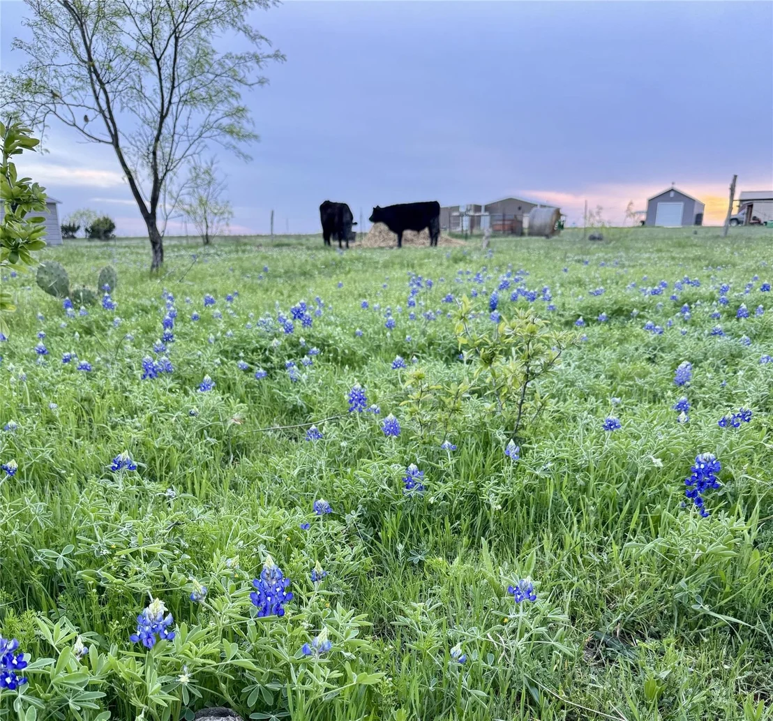 Photo of 2238 County Road 2109