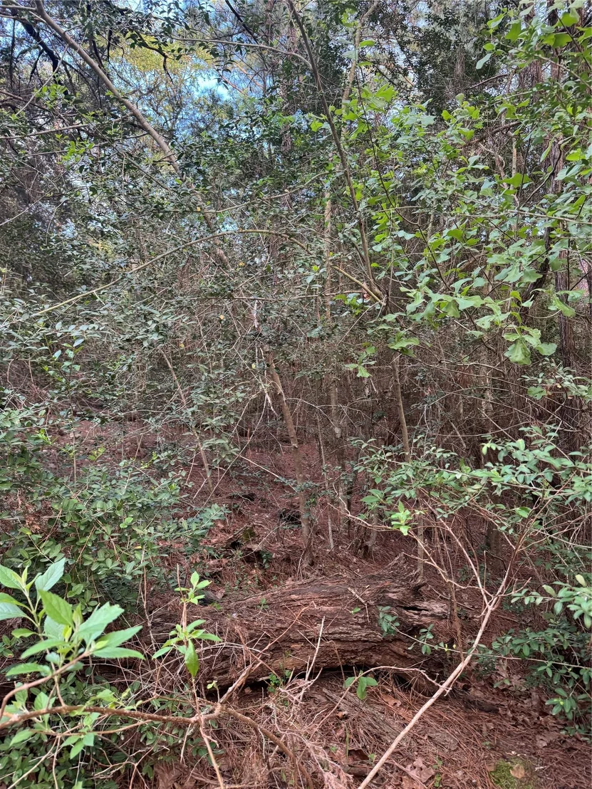 Photo of Lots 158 and 159 Hekili DR