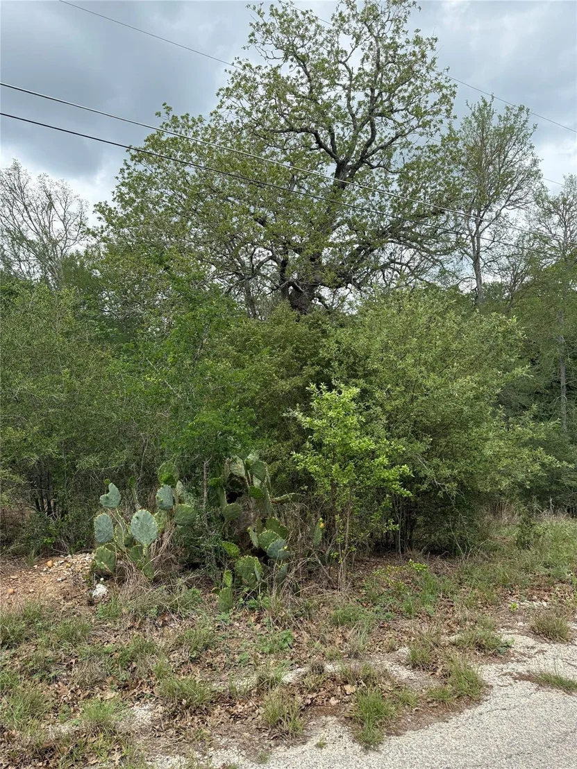 Photo of lot 70 Kaelepulu DR