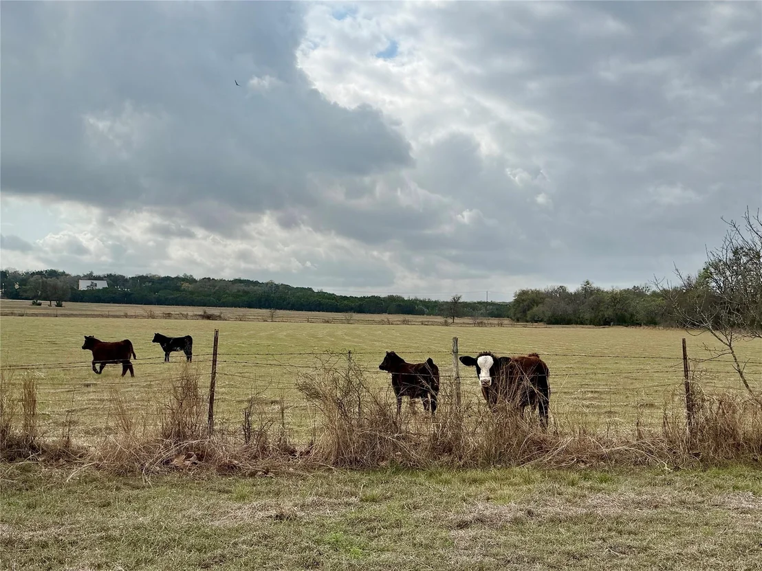 Photo of 2501 County Road 228