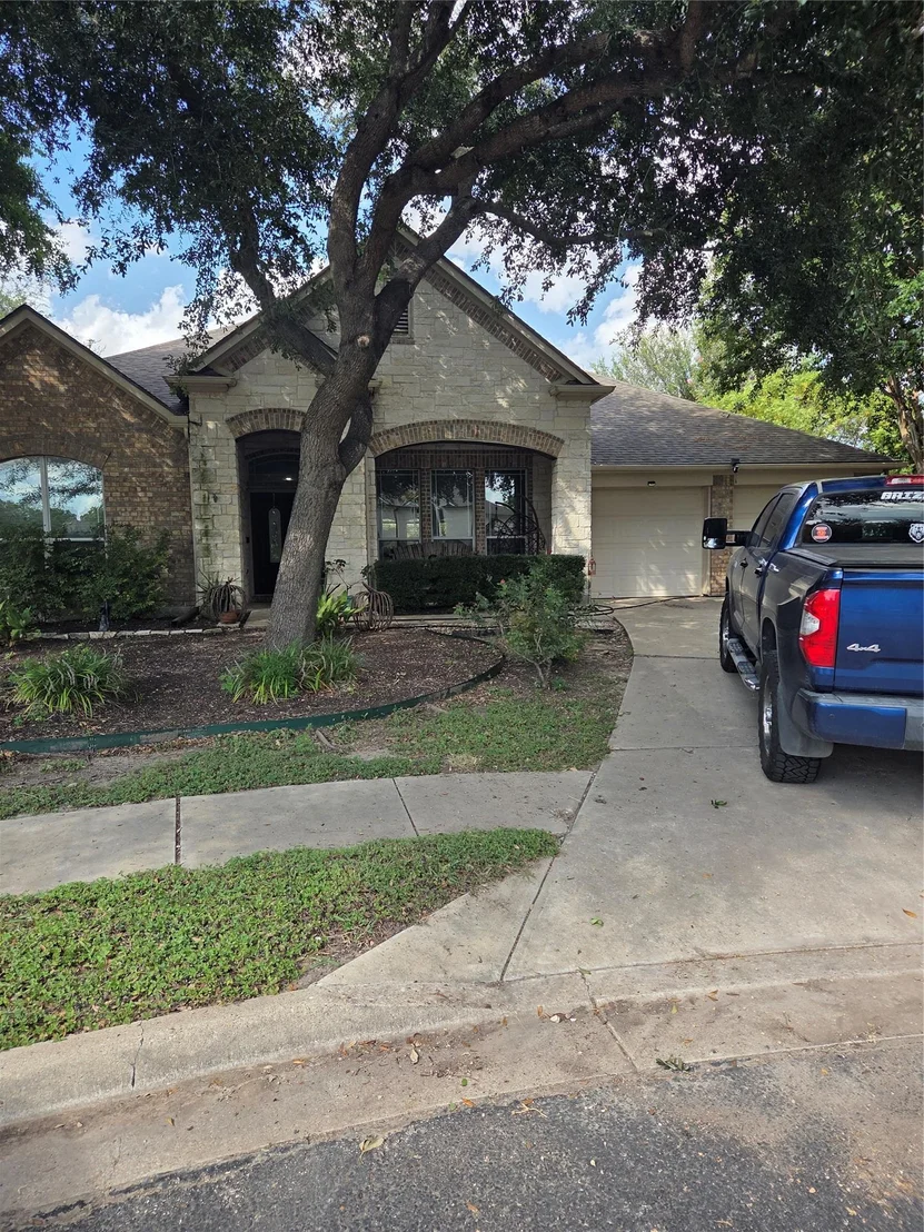 Photo of 2102 Spotted Owl CIR