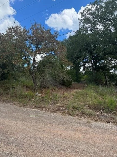 Photo of 261 Flaming Oak DR