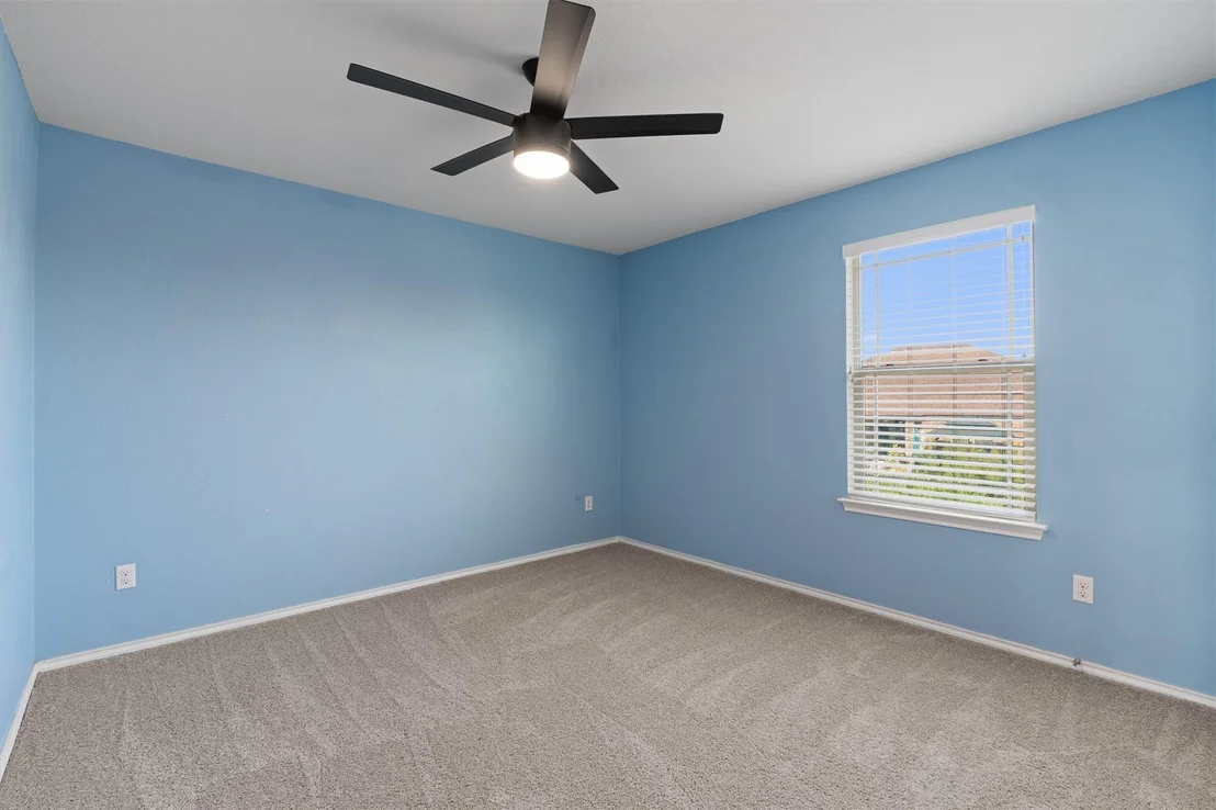 Photo of 804 Water Hyacinth LOOP