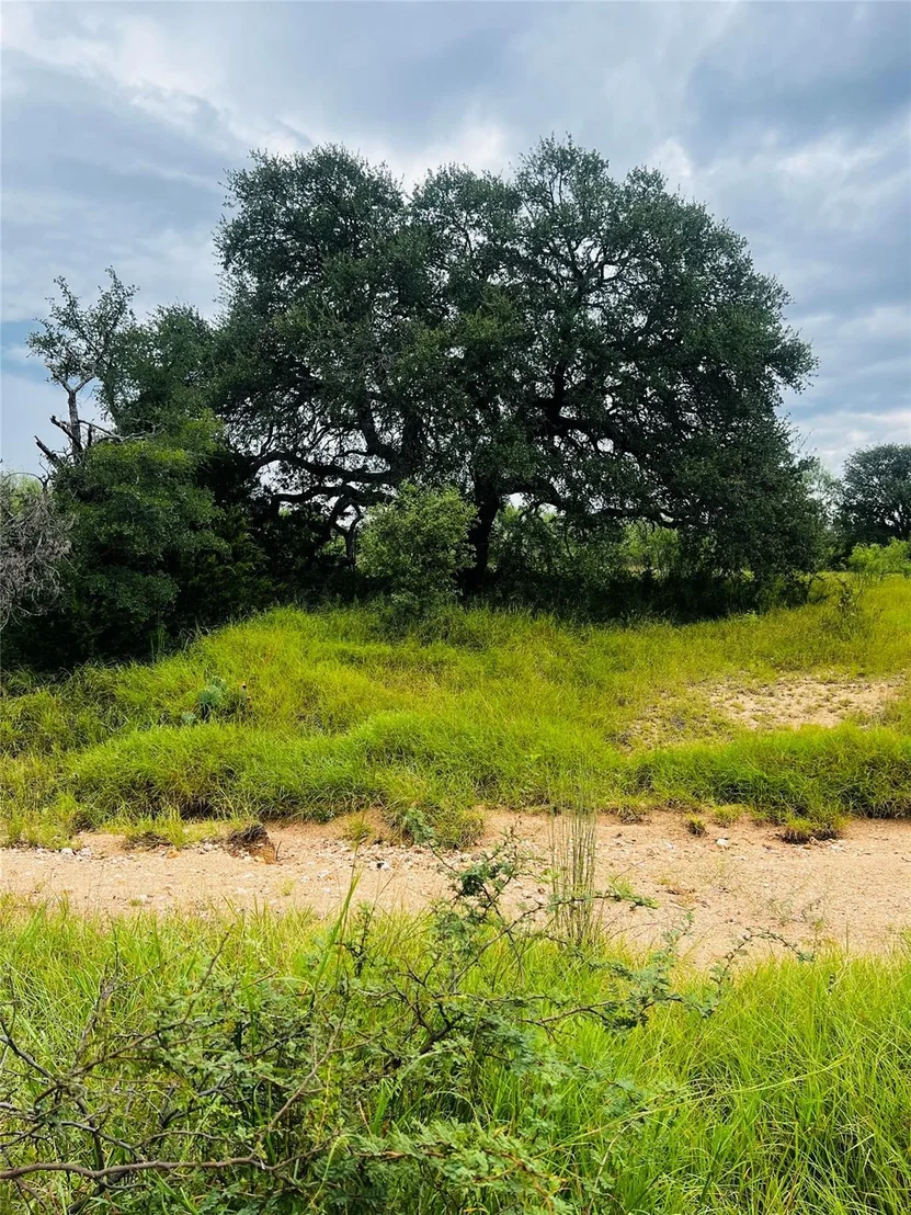 Photo of 241 Lehne LOOP