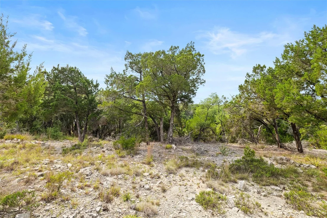 Photo of LOT 39 LODESTONE CV