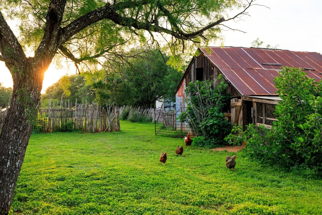 Photo of 3724 Ranch Road 3347