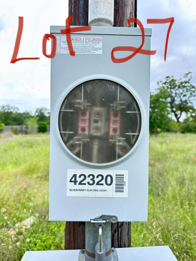 Photo of 138 Wild Bird LOOP