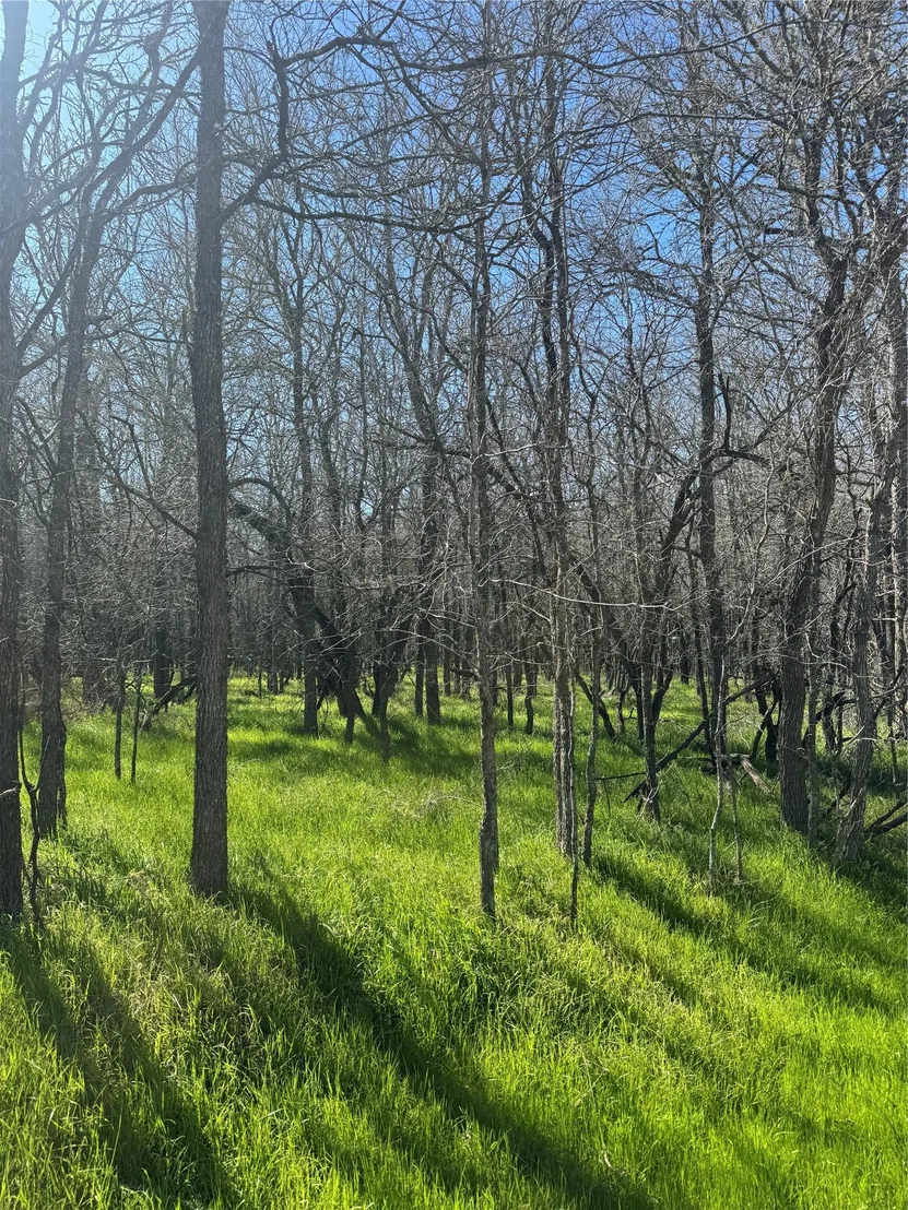 Photo of Lot 500 Kaaawa LN