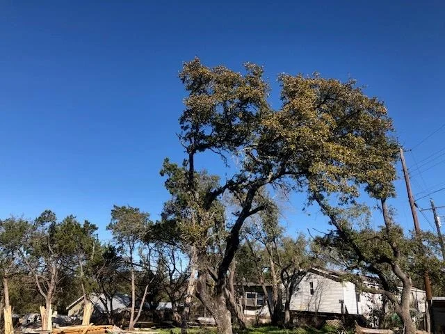 Photo of 6218 Big Horn CIR