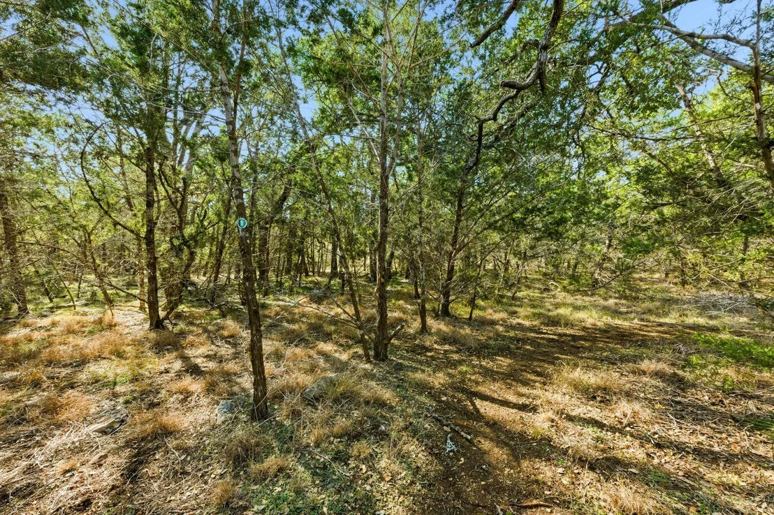 Photo of 655 Cascade TRL